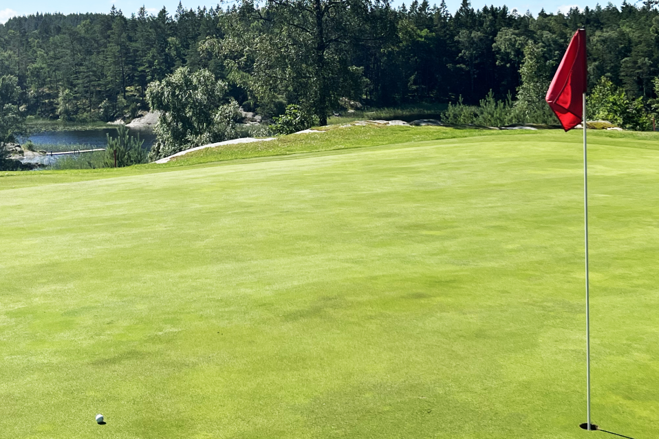 Golfhäftet byter namn och ansluter fler banor Golfbranschen